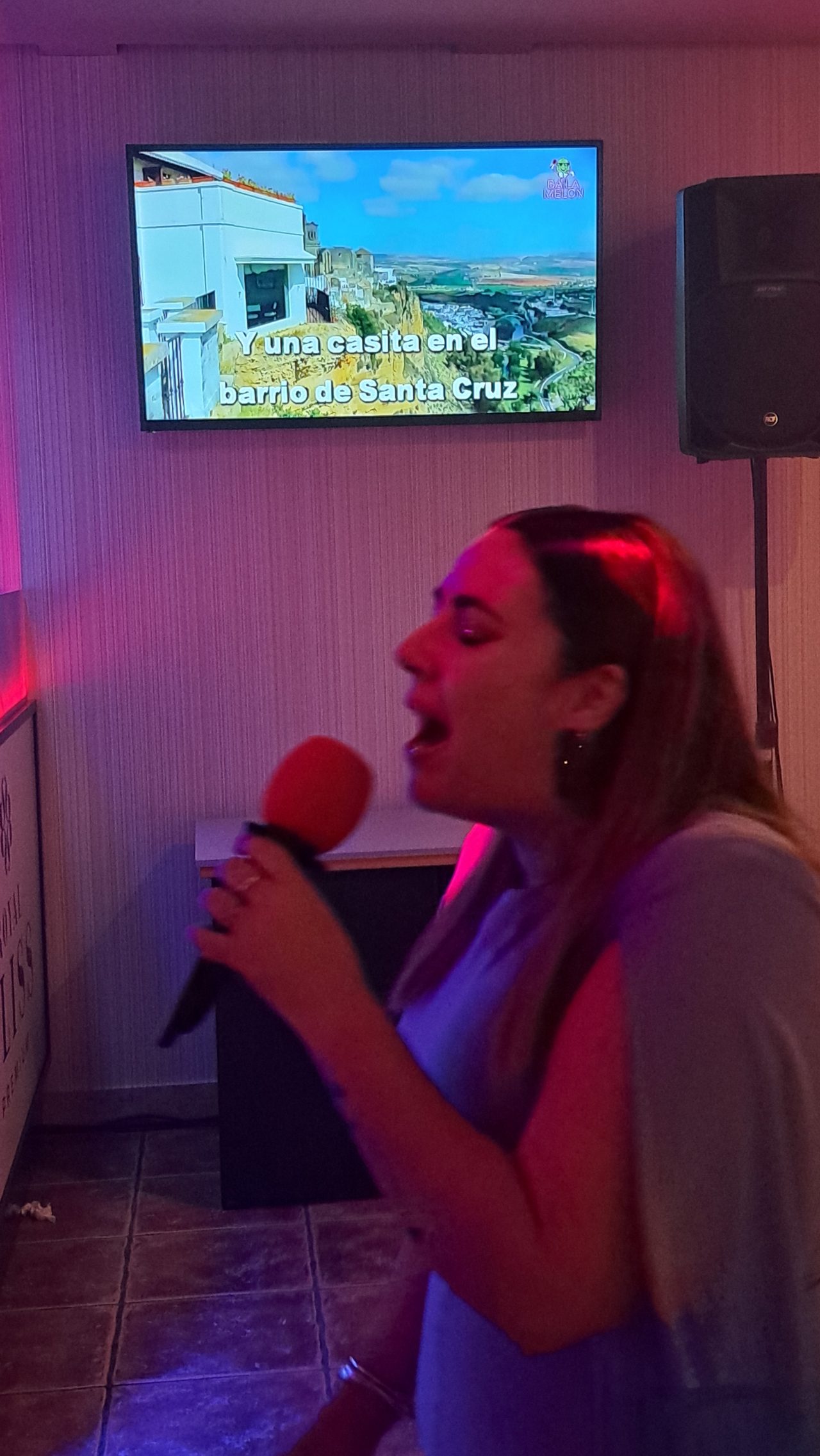 boda karaoke